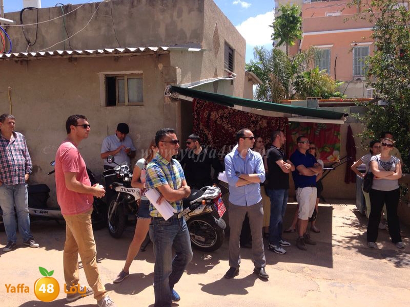 jawala 3amidar 05019 (8).JPG